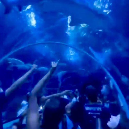 Alunos do TNL visitam Aqua Rio